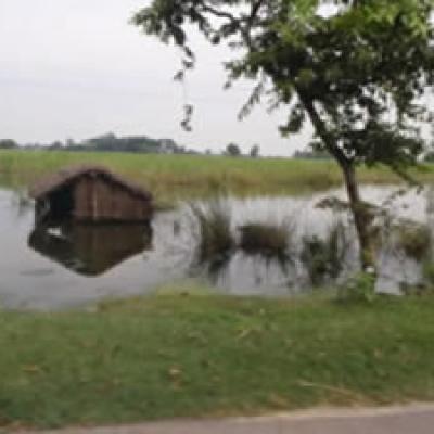 Flood Aftermath3 300x225.jpg