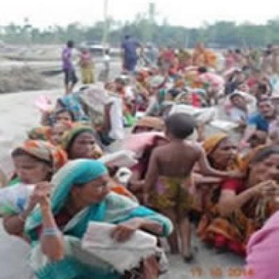 Food Collection Along The River Side 263x300.jpg